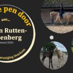 Geef de pen door aan Lorijn Rutten Wijenberg