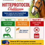 Hitteprotocol